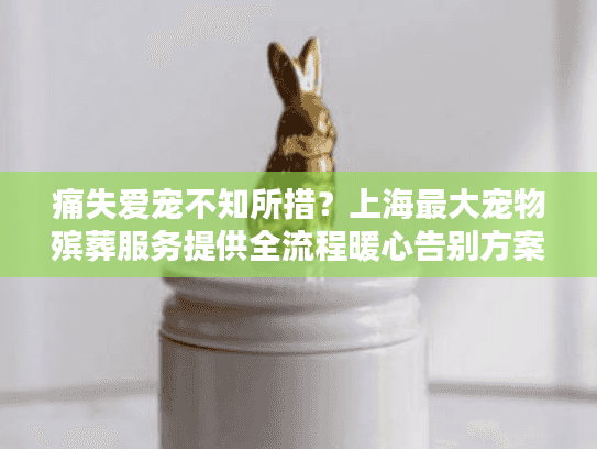 痛失爱宠不知所措？上海最大宠物殡葬服务提供全流程暖心告别方案