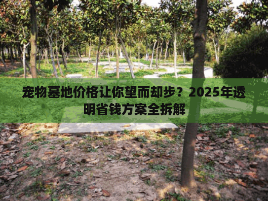 宠物墓地价格让你望而却步？2025年透明省钱方案全拆解