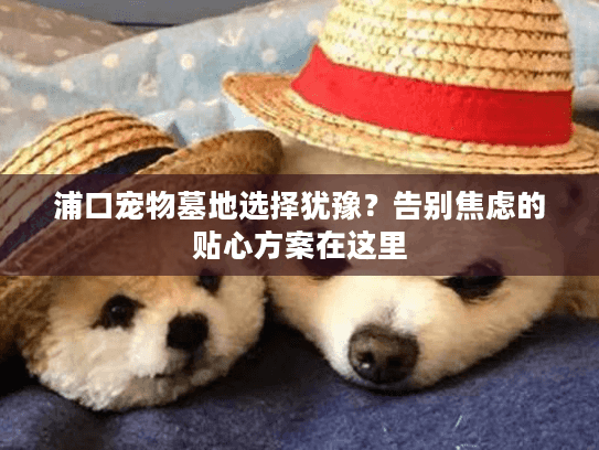 浦口宠物墓地选择犹豫？告别焦虑的贴心方案在这里