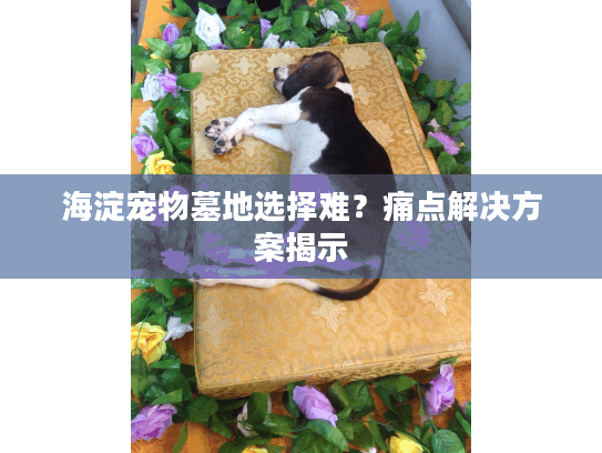海淀宠物墓地选择难？痛点解决方案揭示