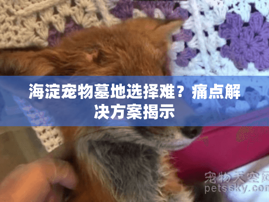 海淀宠物墓地选择难？痛点解决方案揭示
