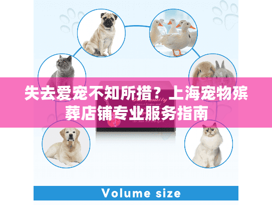 失去爱宠不知所措？上海宠物殡葬店铺专业服务指南