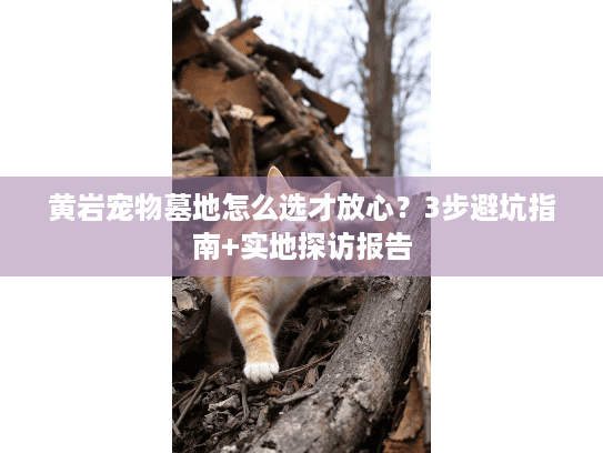 黄岩宠物墓地怎么选才放心？3步避坑指南+实地探访报告