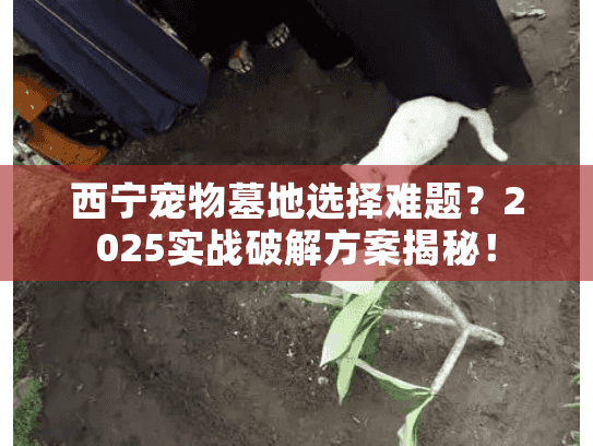 西宁宠物墓地选择难题？2025实战破解方案揭秘！