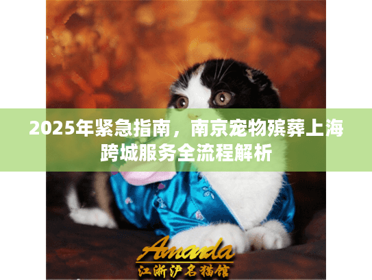 2025年紧急指南，南京宠物殡葬上海跨城服务全流程解析