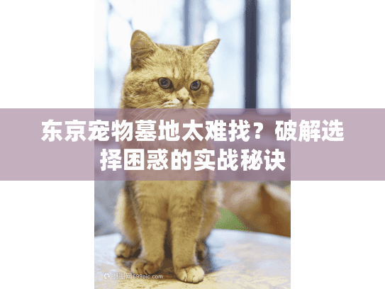 东京宠物墓地太难找？破解选择困惑的实战秘诀