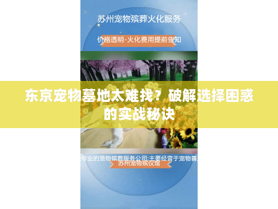 东京宠物墓地太难找？破解选择困惑的实战秘诀