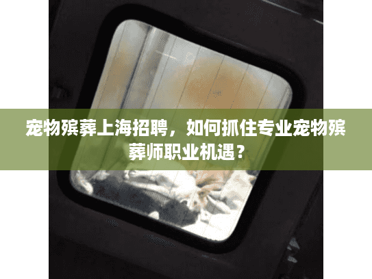 宠物殡葬上海招聘，如何抓住专业宠物殡葬师职业机遇？