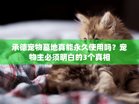 承德宠物墓地真能永久使用吗？宠物主必须明白的3个真相