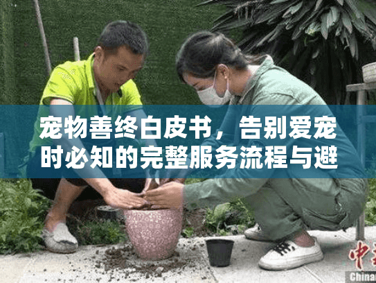 宠物善终白皮书，告别爱宠时必知的完整服务流程与避坑指南