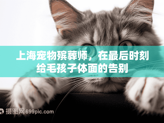 上海宠物殡葬师，在最后时刻给毛孩子体面的告别