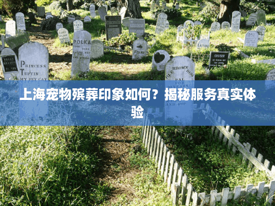 上海宠物殡葬印象如何？揭秘服务真实体验
