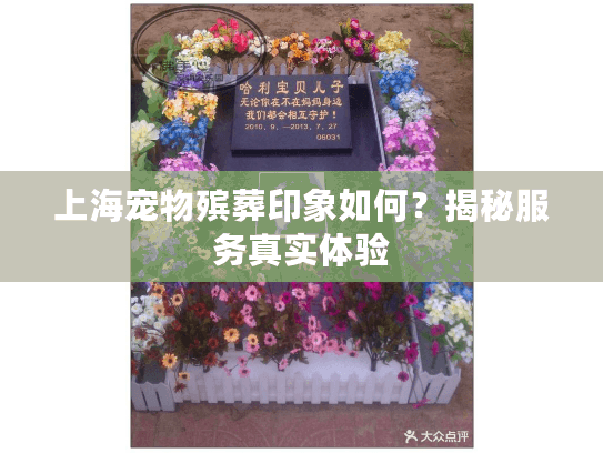 上海宠物殡葬印象如何？揭秘服务真实体验