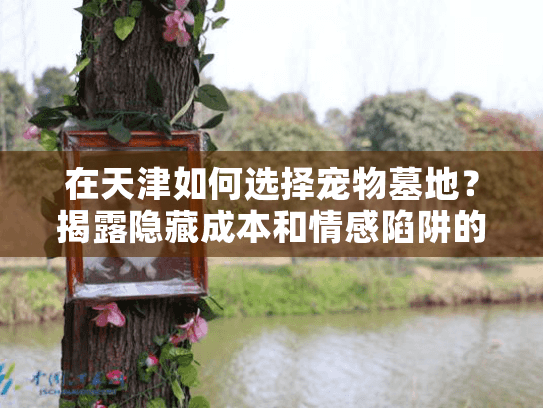 在天津如何选择宠物墓地？揭露隐藏成本和情感陷阱的实用路径