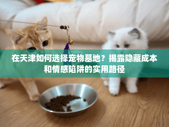 在天津如何选择宠物墓地？揭露隐藏成本和情感陷阱的实用路径