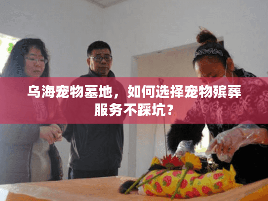 乌海宠物墓地，如何选择宠物殡葬服务不踩坑？