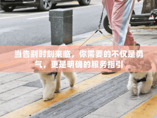 当告别时刻来临，你需要的不仅是勇气，更是明确的服务指引
