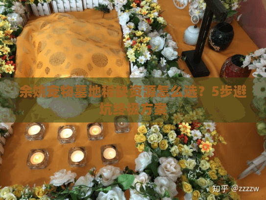余姚宠物墓地稀缺资源怎么选？5步避坑终极方案