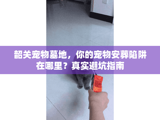 韶关宠物墓地，你的宠物安葬陷阱在哪里？真实避坑指南