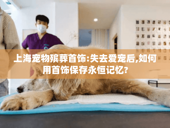 上海宠物殡葬首饰:失去爱宠后,如何用首饰保存永恒记忆?