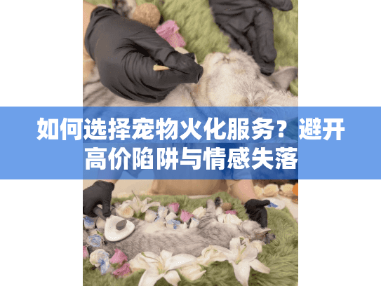 如何选择宠物火化服务?避开高价陷阱与情感失落 如何选择宠物火化服务?避开高价陷阱与情感失落