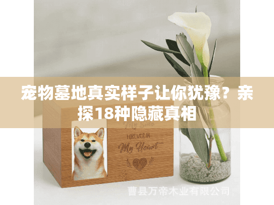 宠物墓地真实样子让你犹豫?亲探18种隐藏真相 宠物墓地真实样子让你犹豫?亲探18种隐藏真相