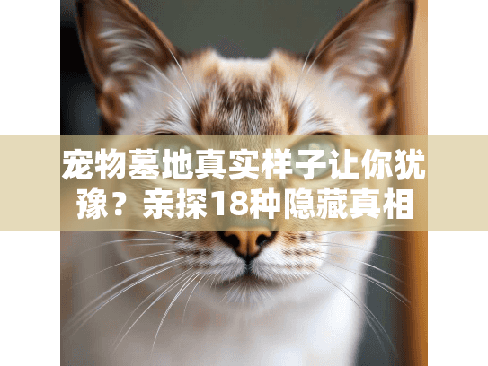 宠物墓地真实样子让你犹豫?亲探18种隐藏真相 宠物墓地真实样子让你犹豫?亲探18种隐藏真相