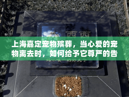 上海嘉定宠物殡葬，当心爱的宠物离去时，如何给予它尊严的告别？