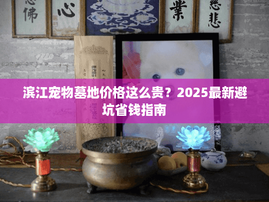 滨江宠物墓地价格这么贵？2025最新避坑省钱指南