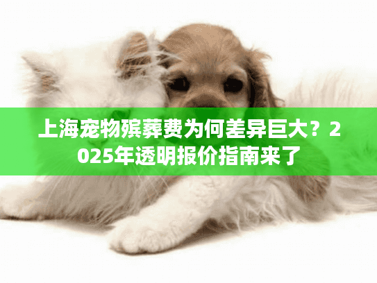 上海宠物殡葬费为何差异巨大？2025年透明报价指南来了