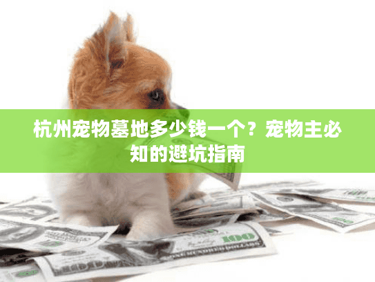 杭州宠物墓地多少钱一个？宠物主必知的避坑指南