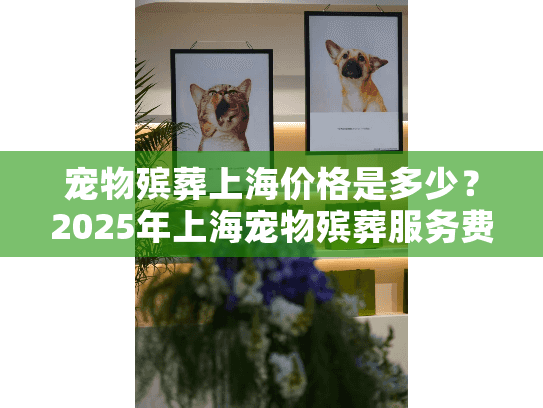 宠物殡葬上海价格是多少？2025年上海宠物殡葬服务费用全解析