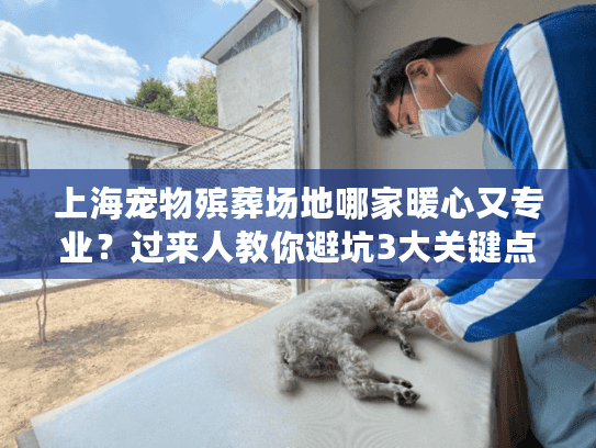 上海宠物殡葬场地哪家暖心又专业？过来人教你避坑3大关键点