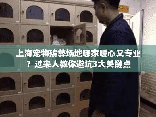 上海宠物殡葬场地哪家暖心又专业？过来人教你避坑3大关键点