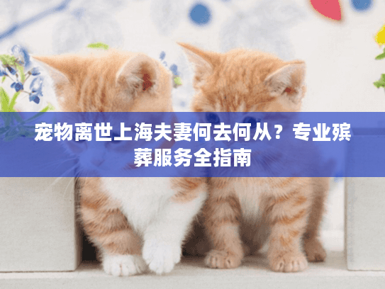 宠物离世上海夫妻何去何从？专业殡葬服务全指南