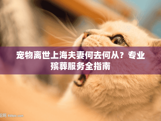 宠物离世上海夫妻何去何从？专业殡葬服务全指南