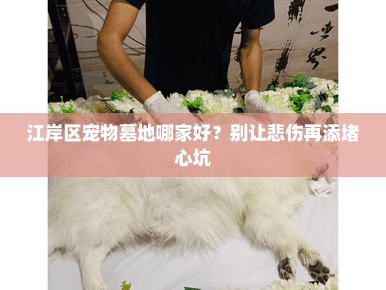 江岸区宠物墓地哪家好？别让悲伤再添堵心坑