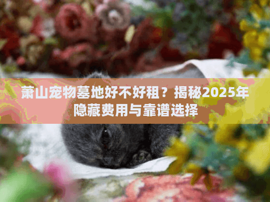萧山宠物墓地好不好租？揭秘2025年隐藏费用与靠谱选择