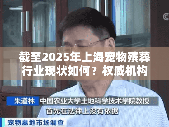 截至2025年上海宠物殡葬行业现状如何？权威机构解读服务选择攻略