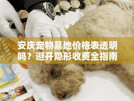 安庆宠物墓地价格表透明吗？避开隐形收费全指南