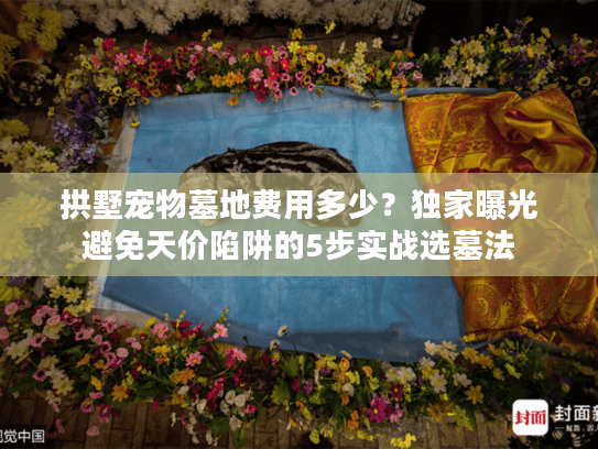拱墅宠物墓地费用多少？独家曝光避免天价陷阱的5步实战选墓法