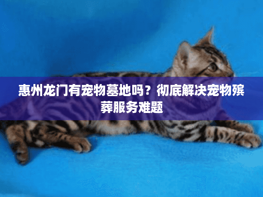 惠州龙门有宠物墓地吗?彻底解决宠物殡葬服务难题 惠州龙门有宠物墓地吗?彻底解决宠物殡葬服务难题