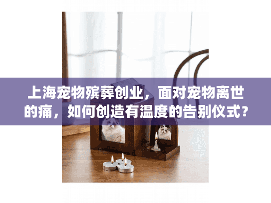 上海宠物殡葬创业，面对宠物离世的痛，如何创造有温度的告别仪式？