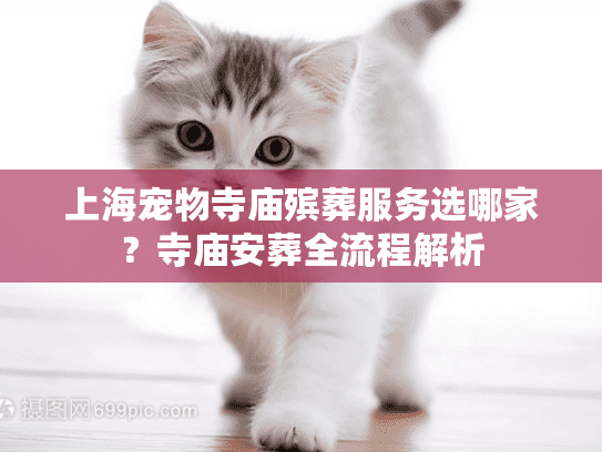 上海宠物寺庙殡葬服务选哪家？寺庙安葬全流程解析