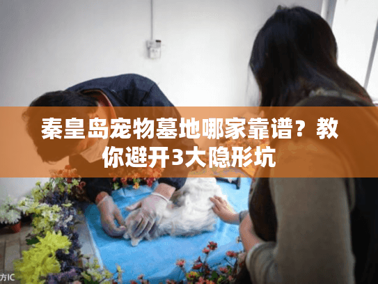 秦皇岛宠物墓地哪家靠谱？教你避开3大隐形坑