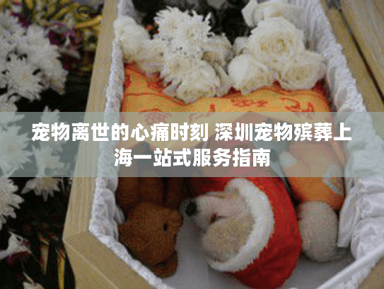 宠物离世的心痛时刻 深圳宠物殡葬上海一站式服务指南