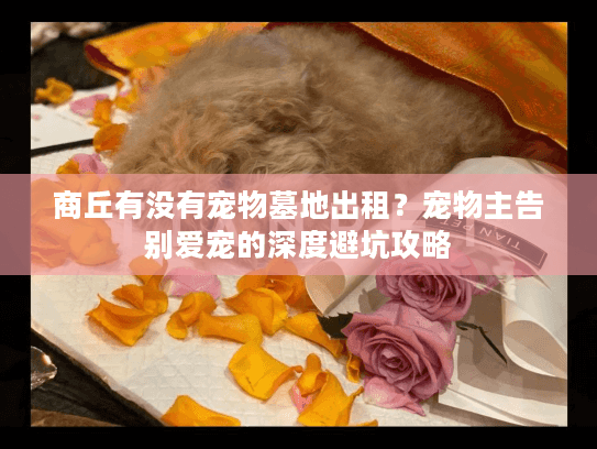 商丘有没有宠物墓地出租？宠物主告别爱宠的深度避坑攻略