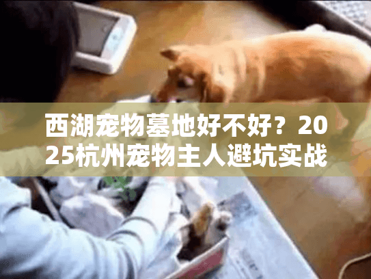 西湖宠物墓地好不好？2025杭州宠物主人避坑实战