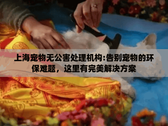 上海宠物无公害处理机构:告别宠物的环保难题，这里有完美解决方案