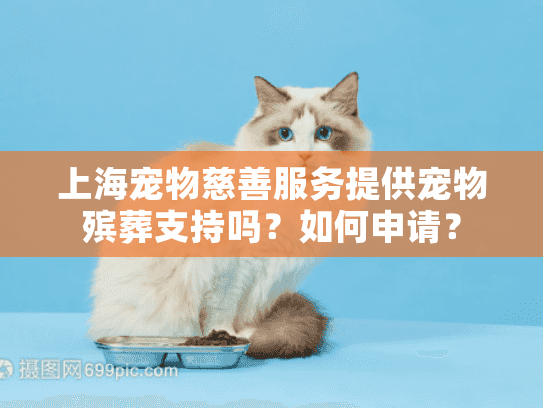 上海宠物慈善服务提供宠物殡葬支持吗？如何申请？